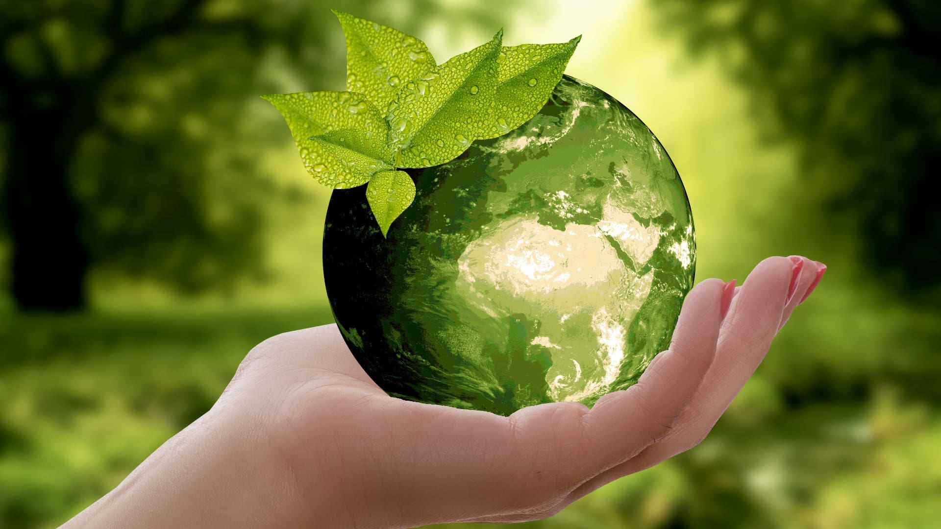 Sustainability | Packaging | Watchdog Management Services | Cost Savings
